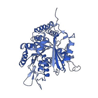 0613_6o2r_A_v1-3
Deacetylated Microtubules