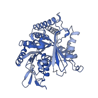 0613_6o2r_B_v1-2
Deacetylated Microtubules