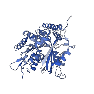 0613_6o2r_C_v1-2
Deacetylated Microtubules