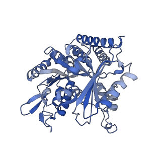 0613_6o2r_D_v1-3
Deacetylated Microtubules