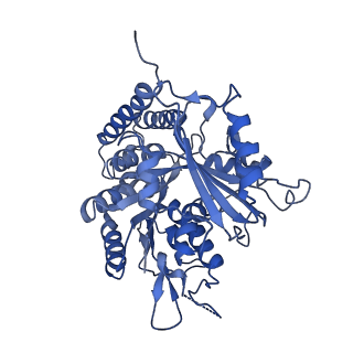 0613_6o2r_E_v1-3
Deacetylated Microtubules