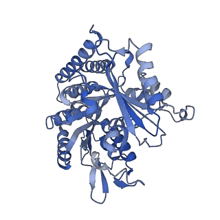 0613_6o2r_F_v1-2
Deacetylated Microtubules