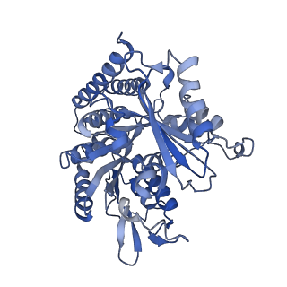 0613_6o2r_F_v1-3
Deacetylated Microtubules