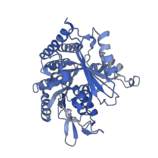 0613_6o2r_G_v1-3
Deacetylated Microtubules