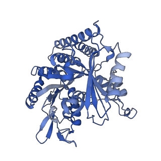 0613_6o2r_H_v1-3
Deacetylated Microtubules