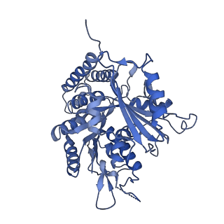 0613_6o2r_J_v1-3
Deacetylated Microtubules