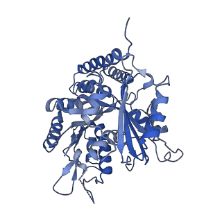 0613_6o2r_K_v1-3
Deacetylated Microtubules