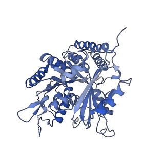 0613_6o2r_L_v1-2
Deacetylated Microtubules