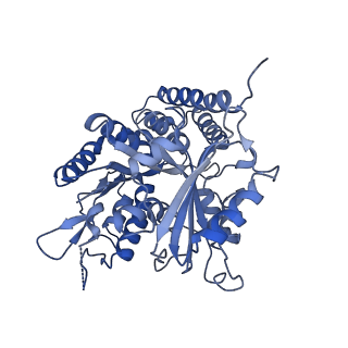 0613_6o2r_L_v1-3
Deacetylated Microtubules