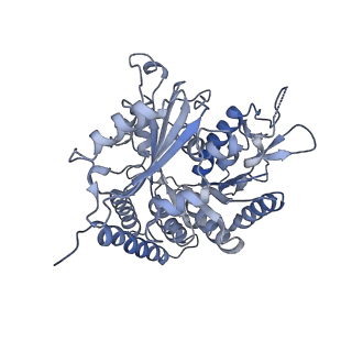 0614_6o2s_1A_v1-3
Deacetylated Microtubules