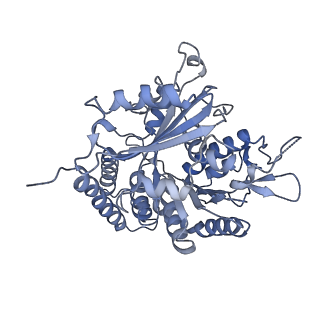 0614_6o2s_1B_v1-3
Deacetylated Microtubules