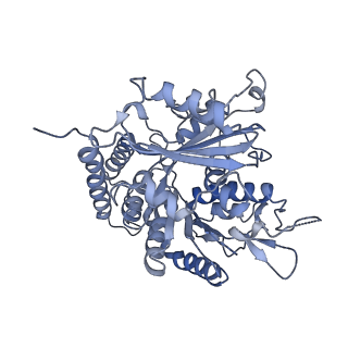 0614_6o2s_1C_v1-3
Deacetylated Microtubules