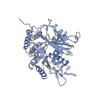 0614_6o2s_1D_v1-2
Deacetylated Microtubules