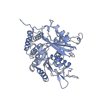 0614_6o2s_1D_v1-3
Deacetylated Microtubules