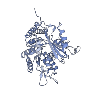 0614_6o2s_1E_v1-3
Deacetylated Microtubules