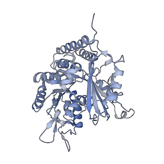 0614_6o2s_1F_v1-2
Deacetylated Microtubules