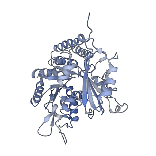 0614_6o2s_1F_v1-3
Deacetylated Microtubules