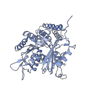 0614_6o2s_1G_v1-2
Deacetylated Microtubules