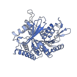 0614_6o2s_1H_v1-3
Deacetylated Microtubules