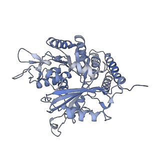 0614_6o2s_1J_v1-2
Deacetylated Microtubules