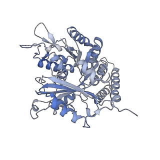 0614_6o2s_1K_v1-3
Deacetylated Microtubules