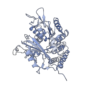 0614_6o2s_1L_v1-3
Deacetylated Microtubules