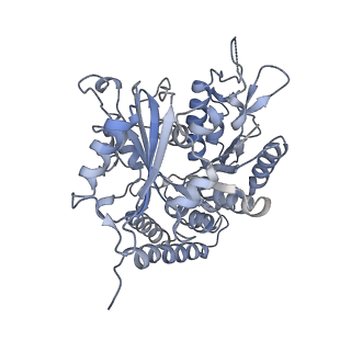 0614_6o2s_1N_v1-2
Deacetylated Microtubules