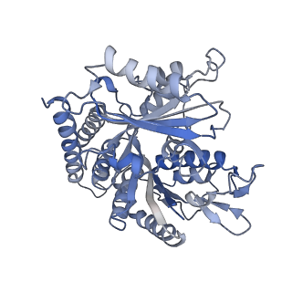 0614_6o2s_1P_v1-3
Deacetylated Microtubules