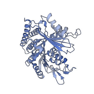 0614_6o2s_1Q_v1-2
Deacetylated Microtubules