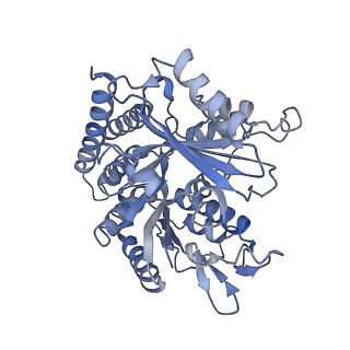 0614_6o2s_1Q_v1-3
Deacetylated Microtubules