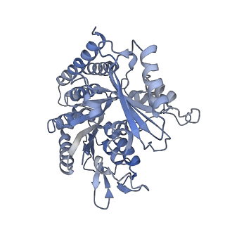 0614_6o2s_1R_v1-2
Deacetylated Microtubules