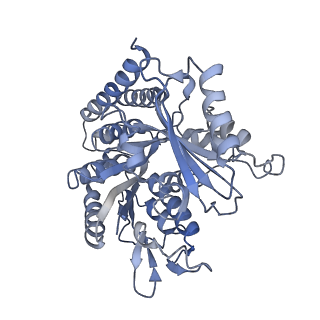 0614_6o2s_1R_v1-3
Deacetylated Microtubules