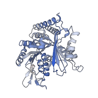 0614_6o2s_1S_v1-3
Deacetylated Microtubules