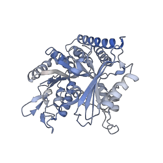0614_6o2s_1T_v1-2
Deacetylated Microtubules