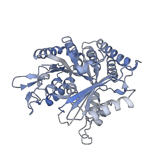 0614_6o2s_1U_v1-3
Deacetylated Microtubules