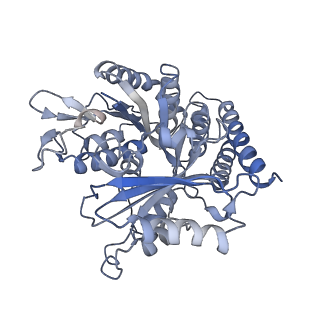 0614_6o2s_1V_v1-3
Deacetylated Microtubules