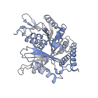 0614_6o2s_1W_v1-2
Deacetylated Microtubules