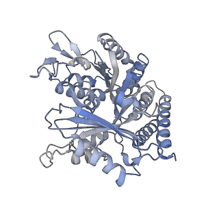 0614_6o2s_1W_v1-3
Deacetylated Microtubules