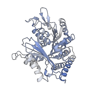 0614_6o2s_1X_v1-3
Deacetylated Microtubules