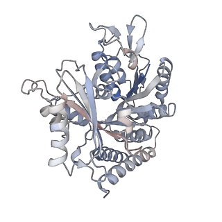 0614_6o2s_1Y_v1-3
Deacetylated Microtubules