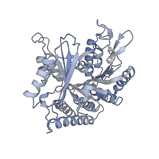 0614_6o2s_1Z_v1-3
Deacetylated Microtubules