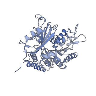 0614_6o2s_2A_v1-3
Deacetylated Microtubules