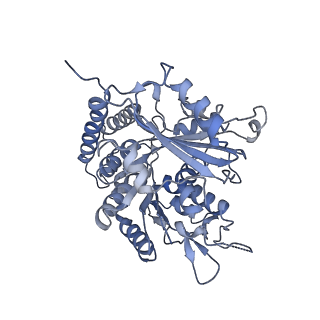 0614_6o2s_2D_v1-3
Deacetylated Microtubules