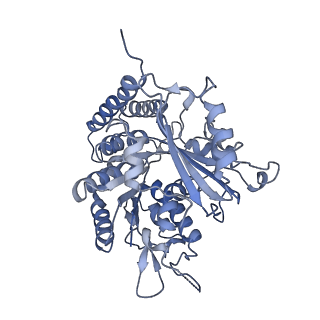 0614_6o2s_2E_v1-3
Deacetylated Microtubules