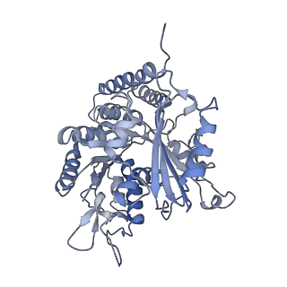 0614_6o2s_2F_v1-2
Deacetylated Microtubules