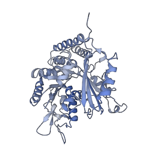 0614_6o2s_2F_v1-3
Deacetylated Microtubules