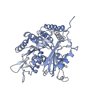 0614_6o2s_2G_v1-2
Deacetylated Microtubules