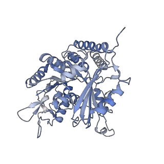 0614_6o2s_2G_v1-3
Deacetylated Microtubules