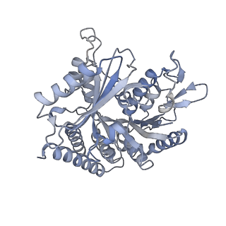 0614_6o2s_2H_v1-3
Deacetylated Microtubules