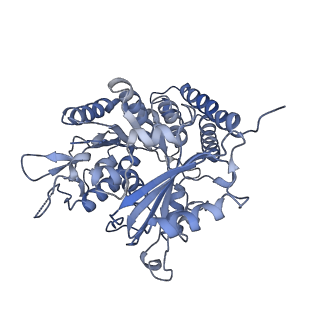 0614_6o2s_2I_v1-3
Deacetylated Microtubules